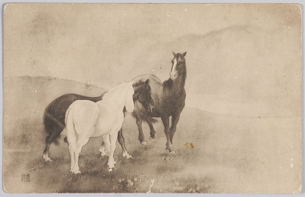 作品画像:三頭の馬