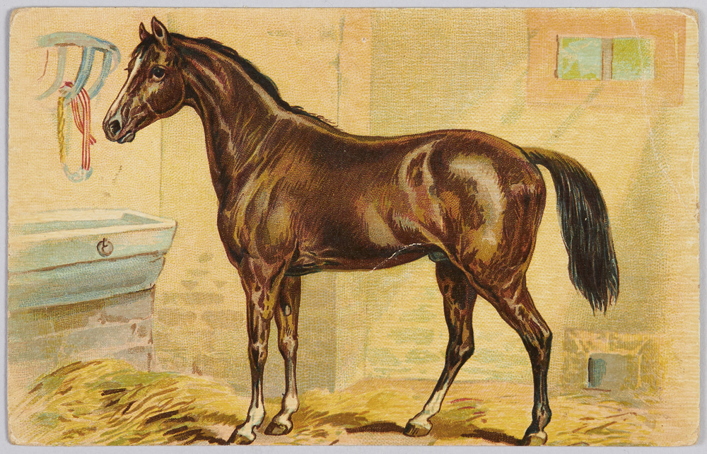 作品画像:馬小屋の馬(外国製)