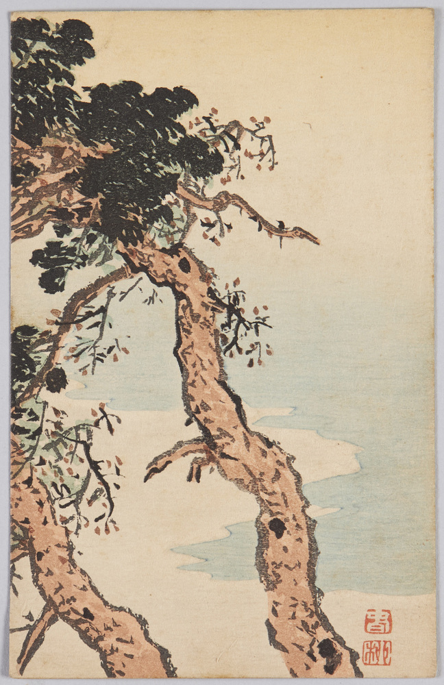 作品画像:浜辺の松