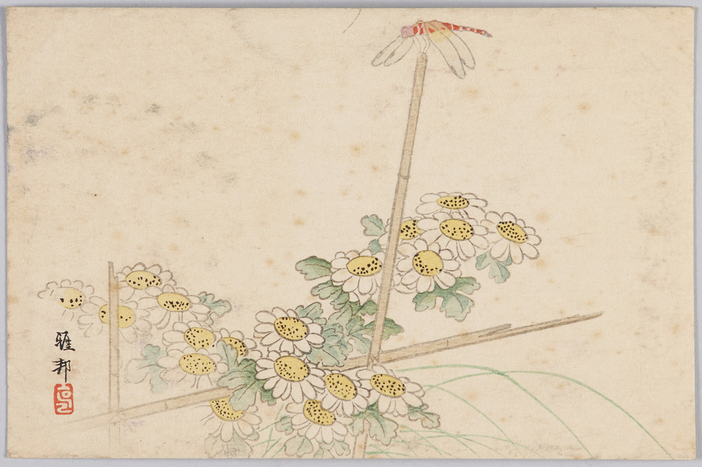作品画像:小菊とトンボ