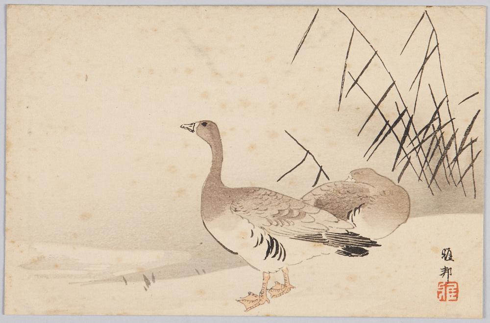 作品画像:水辺の雁