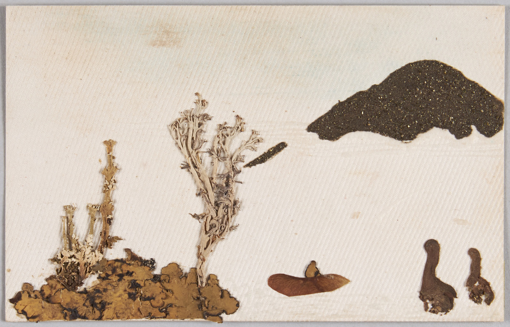 作品画像:植物見立て山水風景画