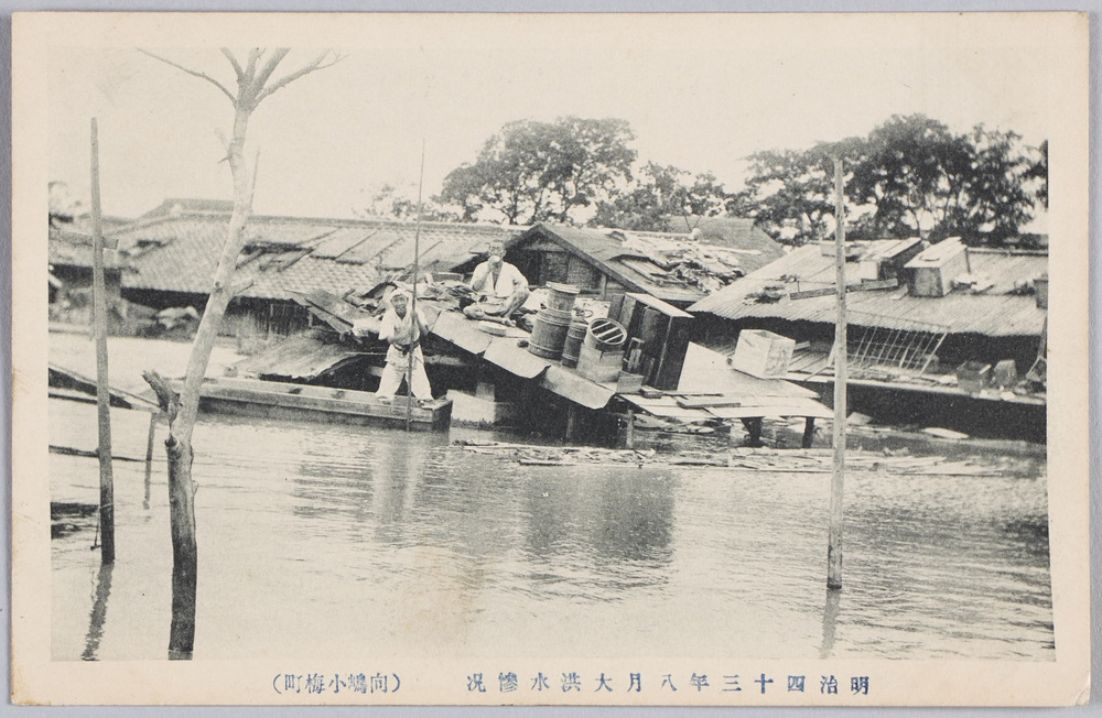 作品画像:明治四十三年八月大洪水惨況(向嶋小梅町)