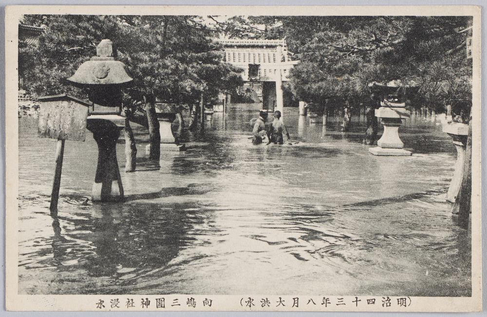 作品画像:(明治四十三年八月大洪水)向嶋三囲神社浸水