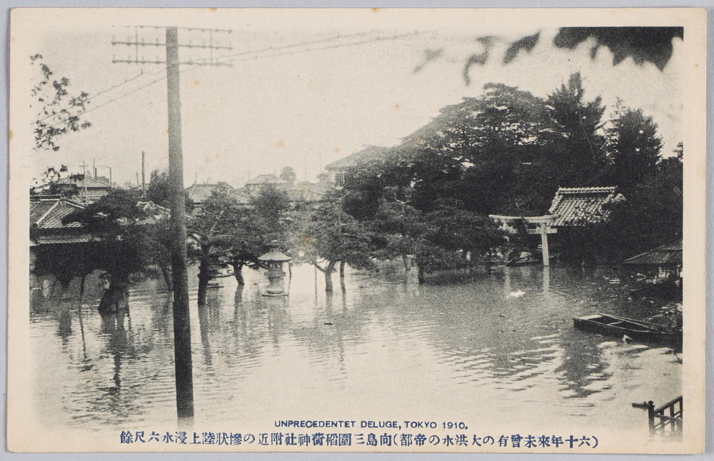 作品画像:(六十年来未曽有大洪水の帝都)向島三囲稲荷神社付近の惨状陸上浸水六尺余