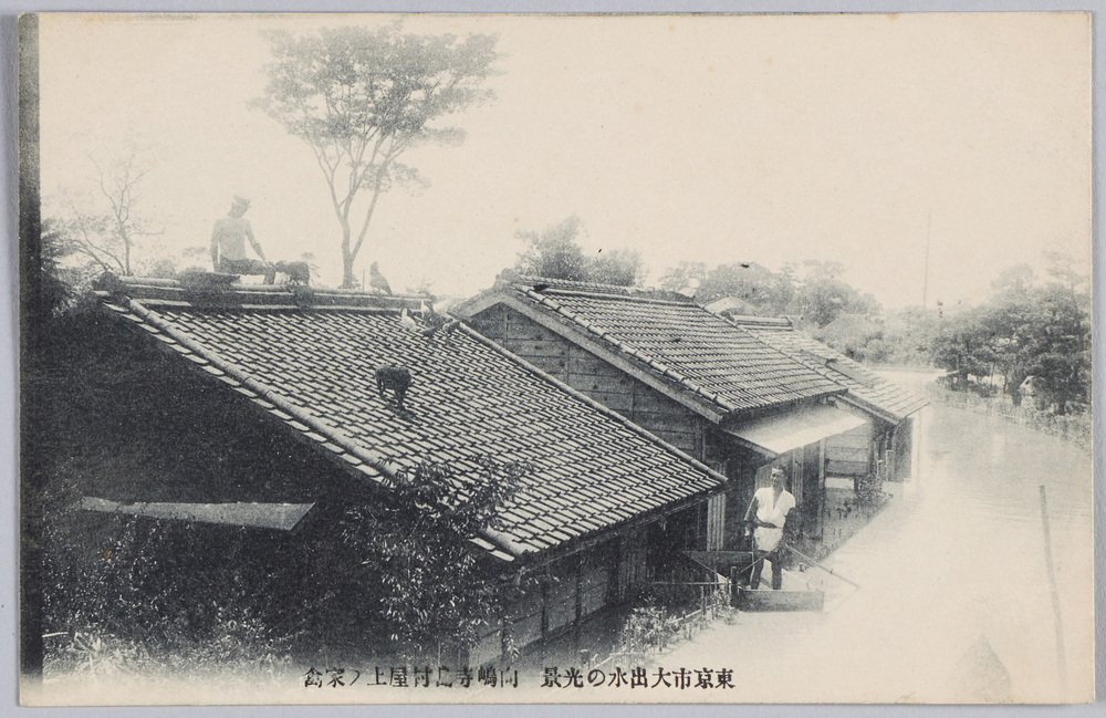 作品画像:東京市大出水ノ光景向嶋寺島村屋上・家禽