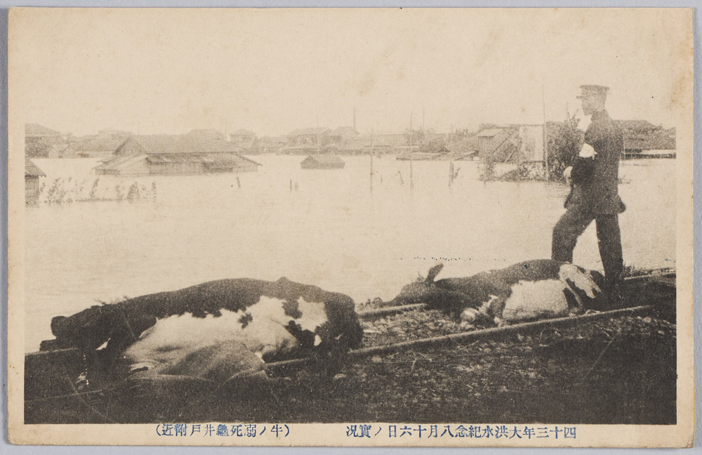 作品画像:四十三年大洪水紀念八月十六日ノ実況(牛ノ溺死亀井戸附近)