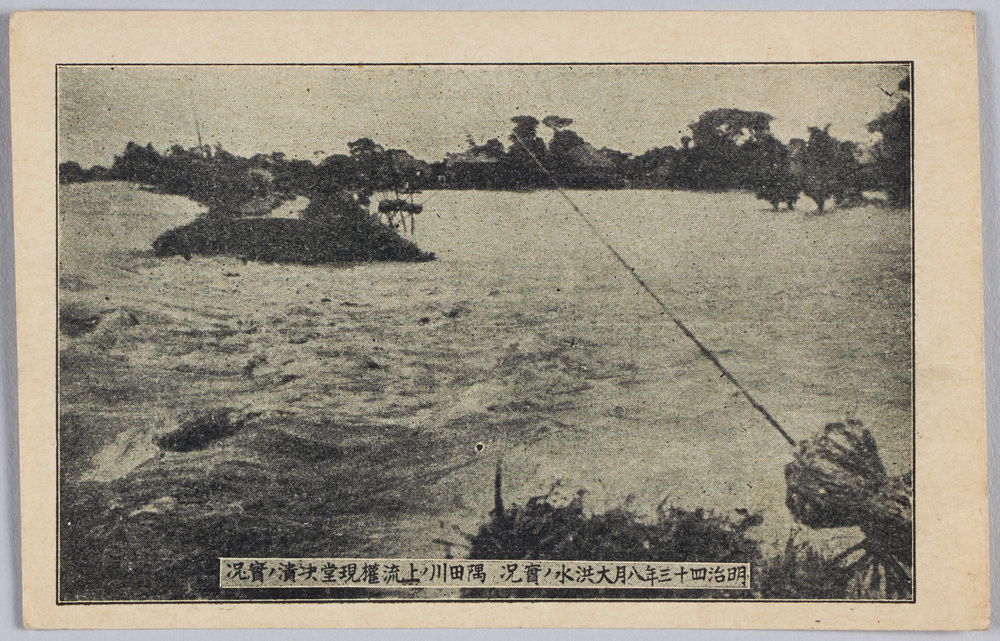 作品画像:明治四十三年八月大洪水ノ実況隅田川ノ上流権現堂決潰ノ実況