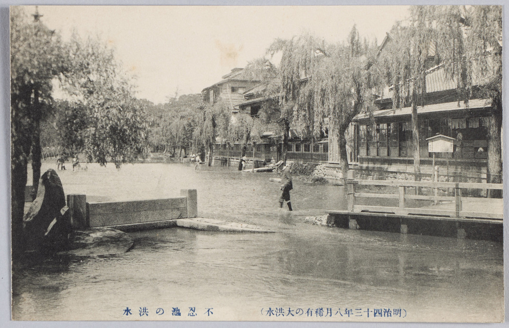 作品画像:(明治四十三年八月稀有の大洪水)不忍池の洪水