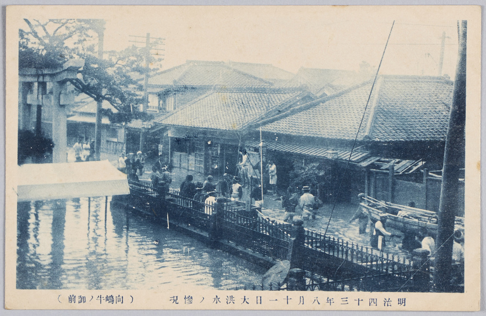 作品画像:明治四十三年八月十一日大洪水ノ惨況(向嶋牛ノ御前)