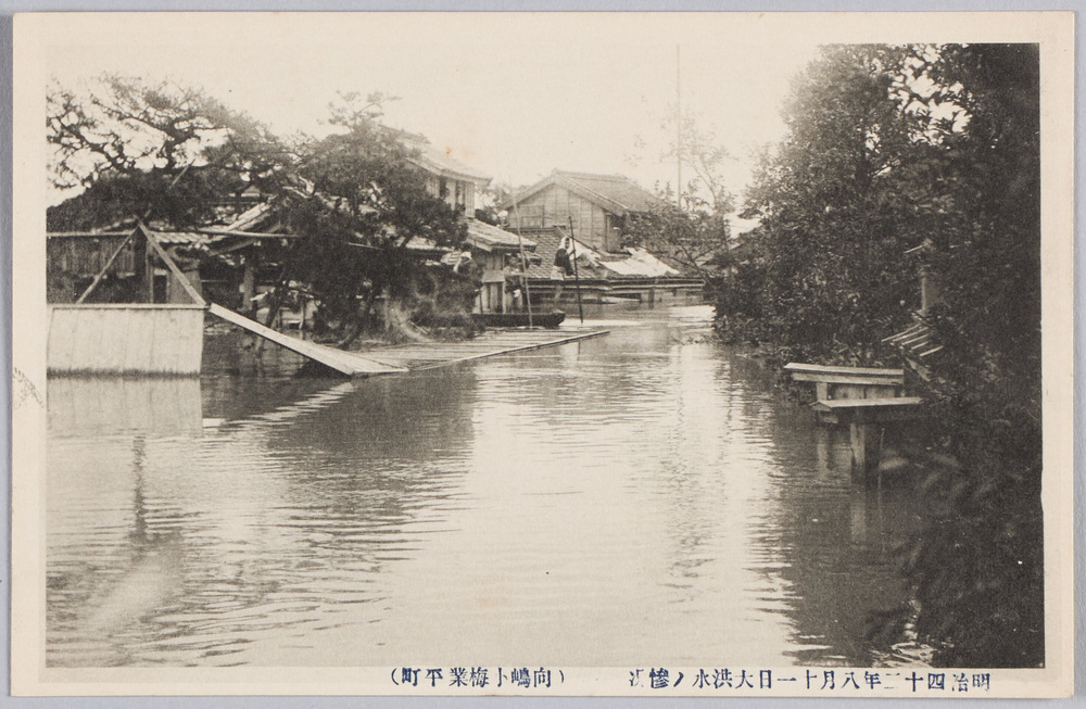 作品画像:明治四十三年八月十一日大洪水ノ惨況(向嶋小梅業平町)