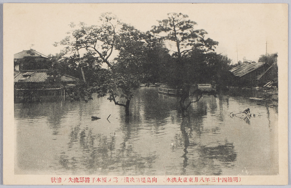 作品画像:〔明治四十三年八月東京大洪水〕向島堤防決潰ノ為メ榎本子爵邸流失ノ惨状