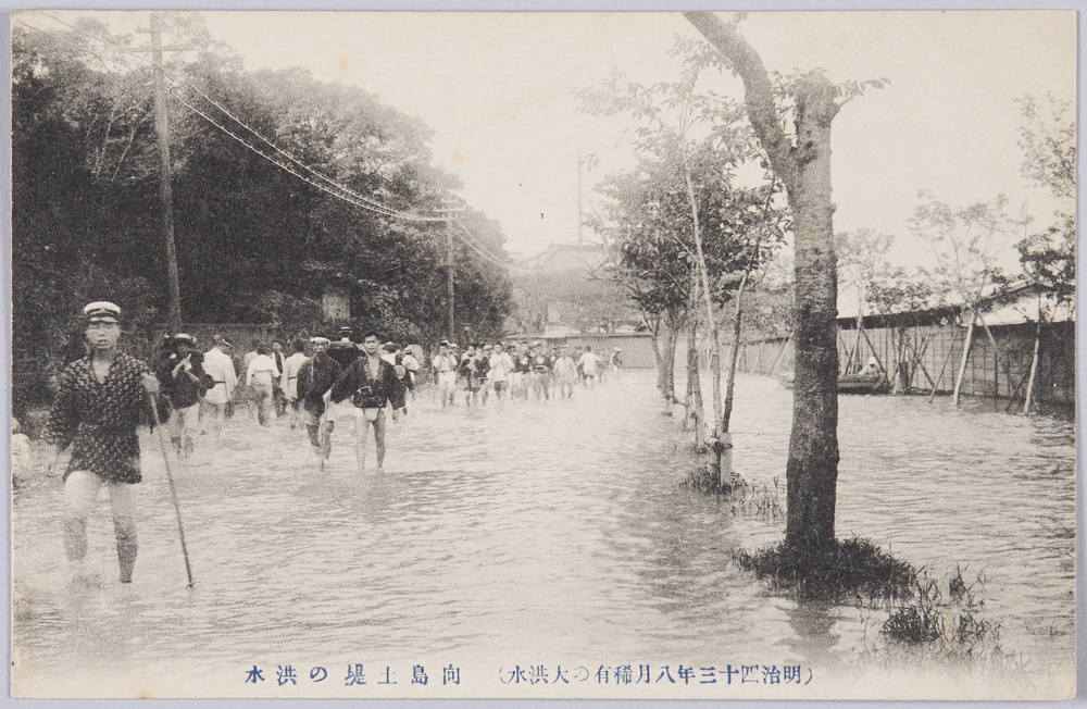 作品画像:(明治四十三年八月稀有の大洪水)向島土堤の洪水