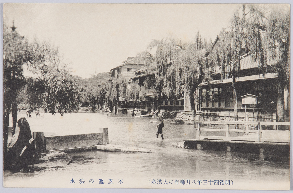 作品画像:(明治四十三年八月稀有の大洪水)不忍池の洪水