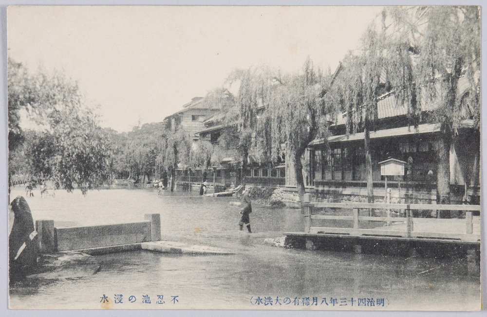 作品画像:(明治四十三年八月稀有の大洪水)不忍池の浸水