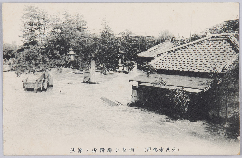 作品画像:(大洪水惨況)向島小梅附近ノ惨状