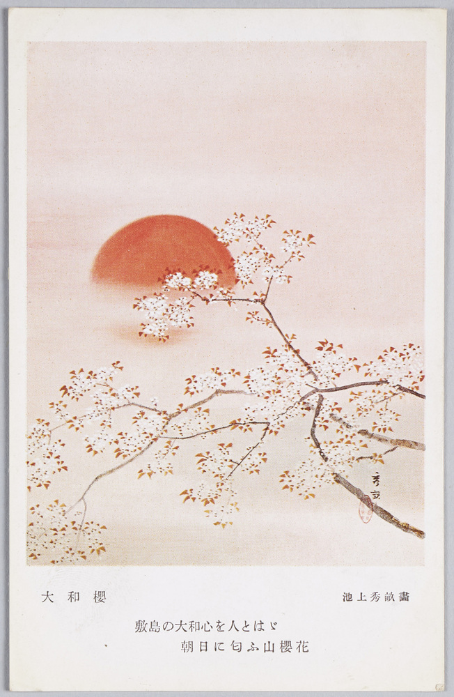 作品画像:大和桜 池上秀畝画