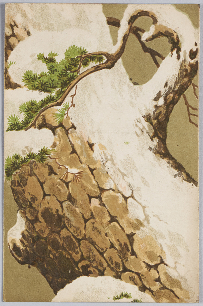 作品画像:松に雪