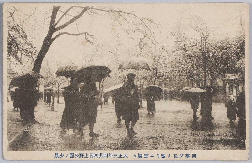 作品画像:何事ゾ花ノ盛リニ雪粉々大正三年四月四日上野公園ノ夕景