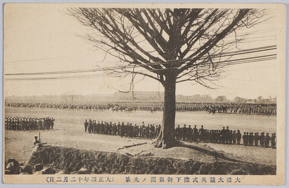 作品画像:大礼大観兵式陛下御親閲ノ光景(大正四年十二月二日)
