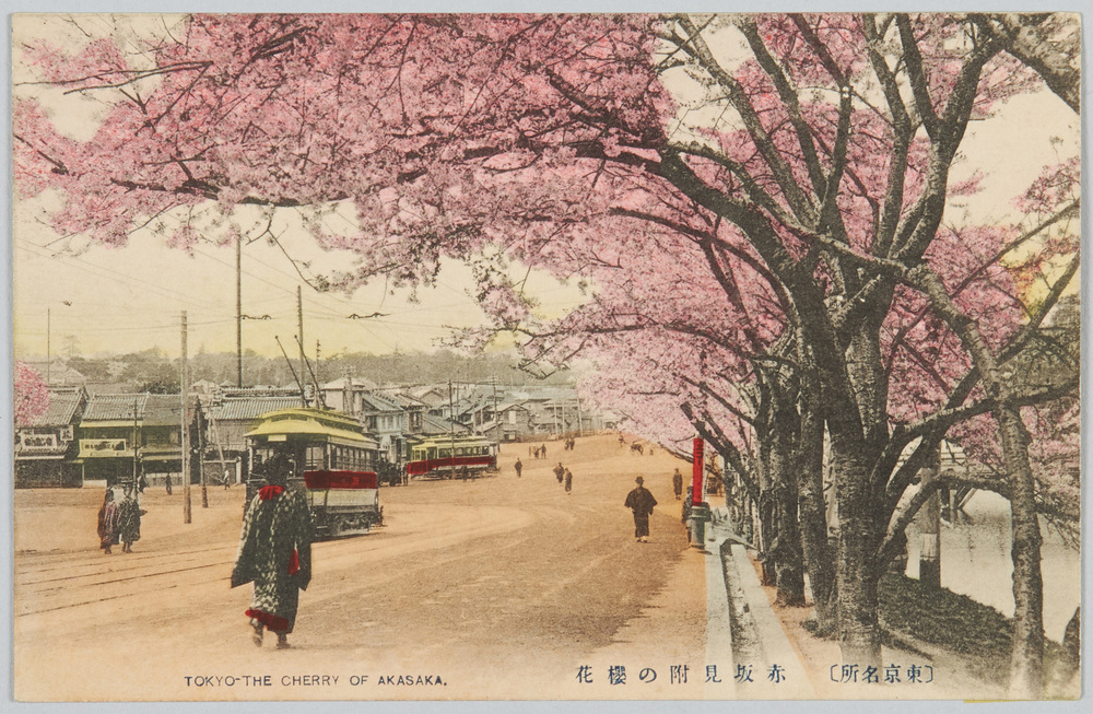 作品画像:(東京名所)赤坂見附の桜花