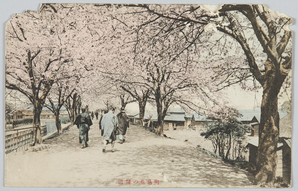 作品画像:向島花の隧道