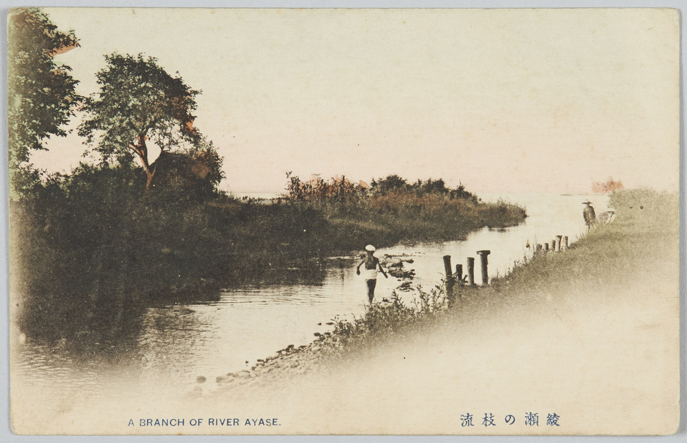 作品画像:綾瀬の枝流