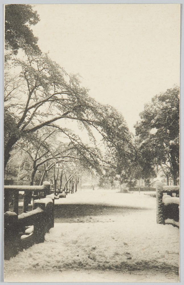 作品画像:雪景色