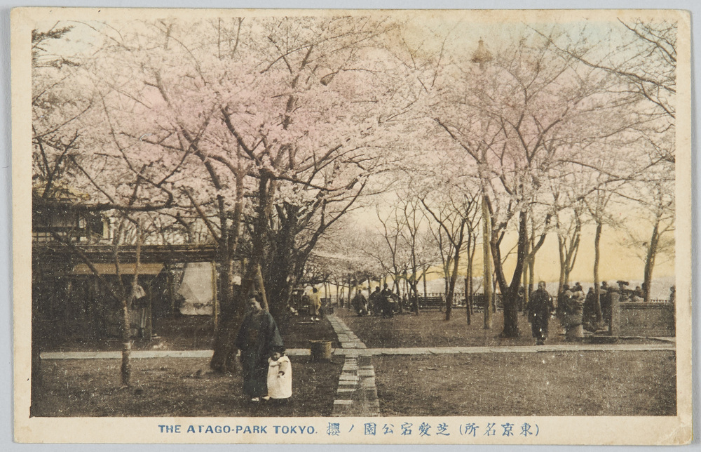 作品画像:(東京名所)芝愛宕公園ノ桜