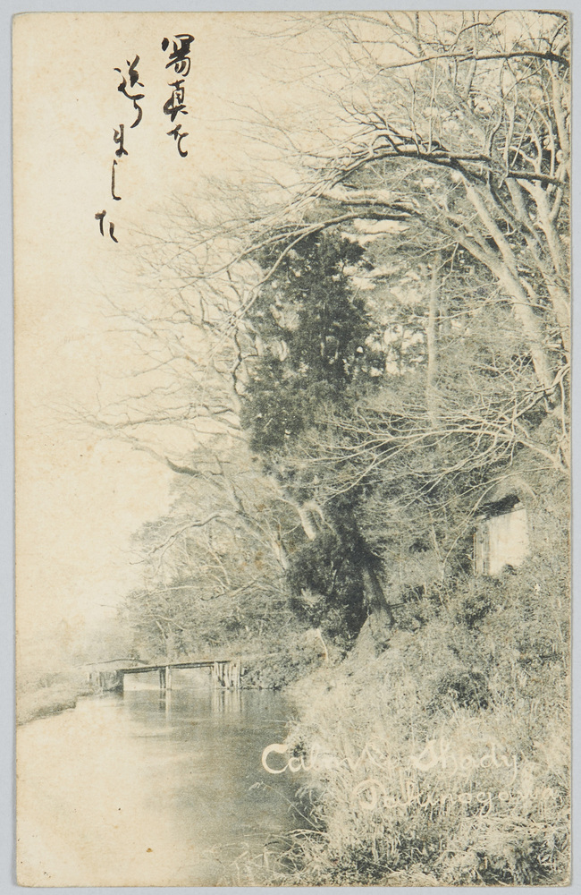 作品画像:Calm and shady Takinogawa