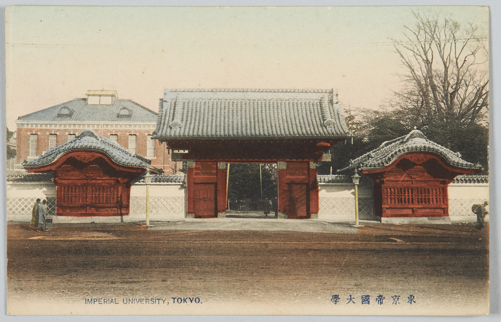 作品画像:東京帝国大学