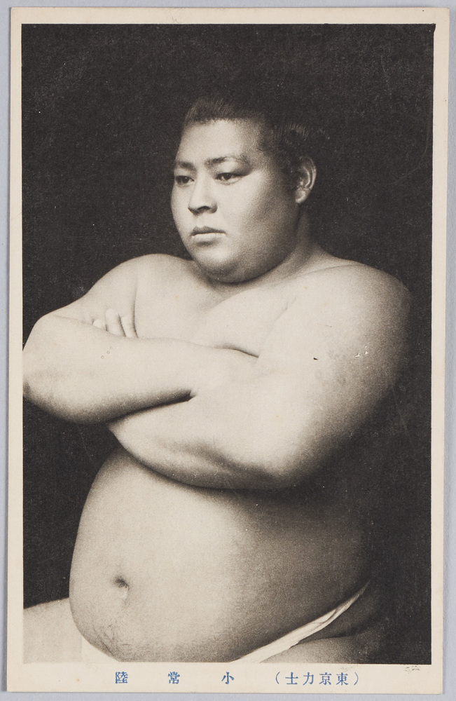 作品画像:(東京力士)小常陸