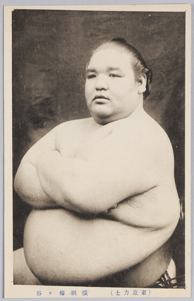 作品画像:(東京力士)横綱梅ヶ谷