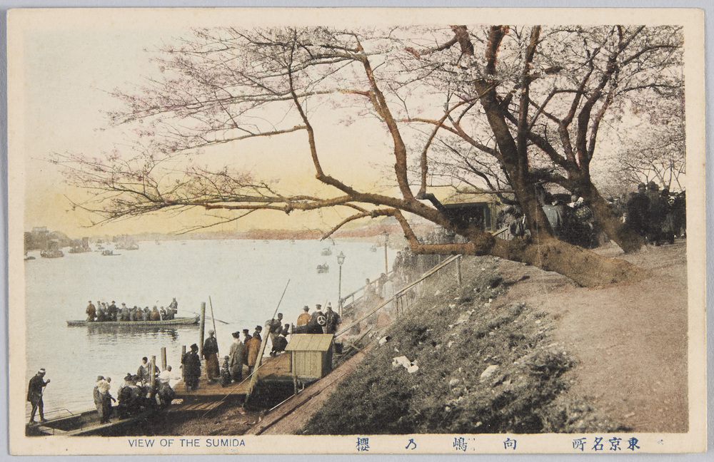 作品画像:東京名所向島の桜