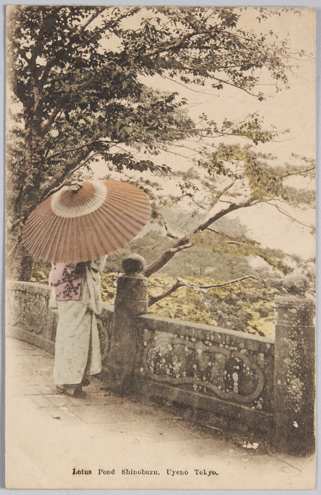 作品画像:Lotus Pond Shinobazu Uyeno Tokyo