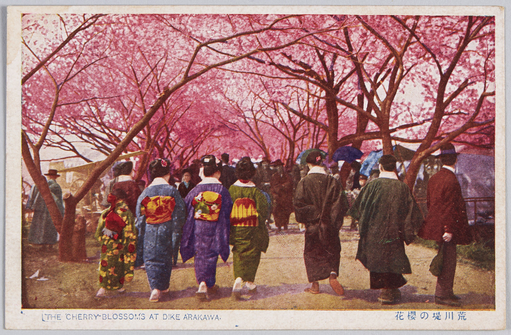 作品画像:荒川堤の桜花