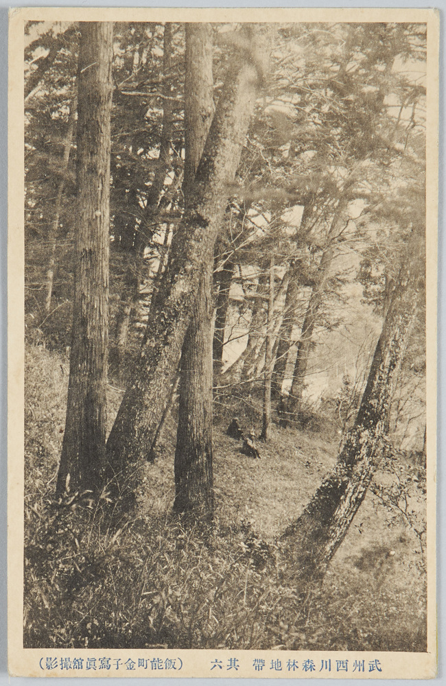 作品画像:武州西川森林地帯其六