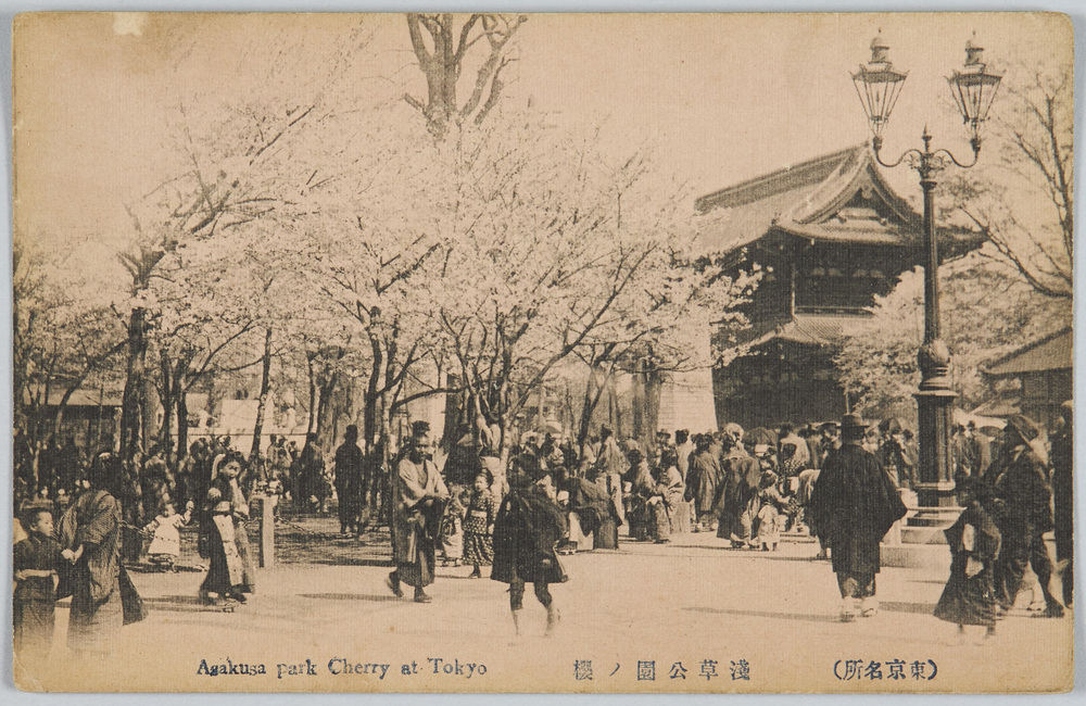 作品画像:(東京名所)浅草公園ノ桜