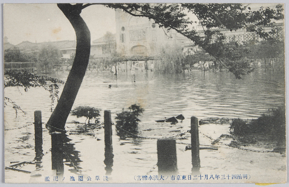 作品画像:(明治四十三年八月十二日東京市ノ大洪水惨害)浅草公園池ノ氾濫