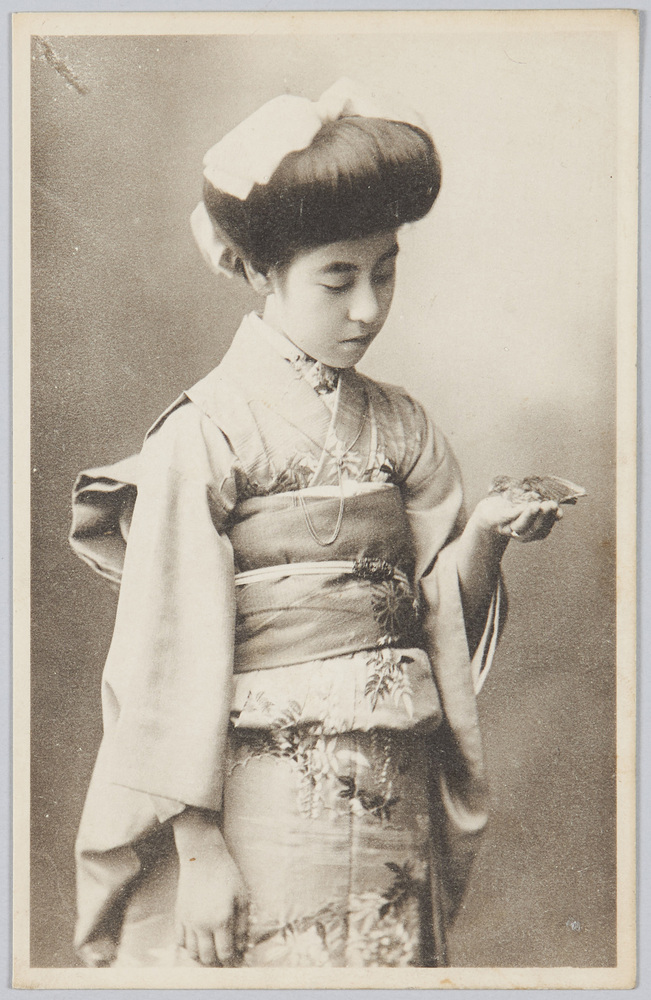作品画像:芸妓 新橋菊三升栄龍