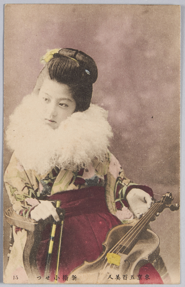 作品画像:東京五百美人 新橋小せつ 15