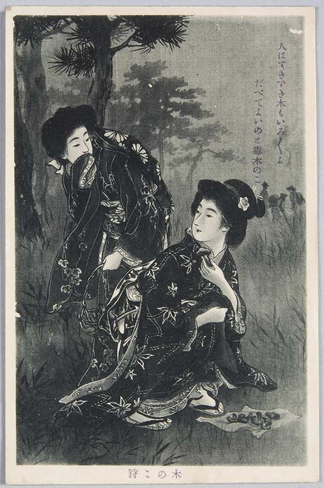 作品画像:木のこ狩