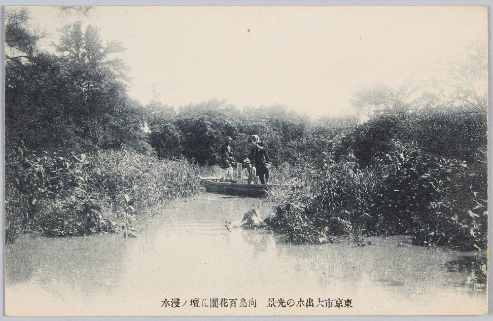 作品画像:東京市大出水の光景 向島百花園花壇ノ浸水