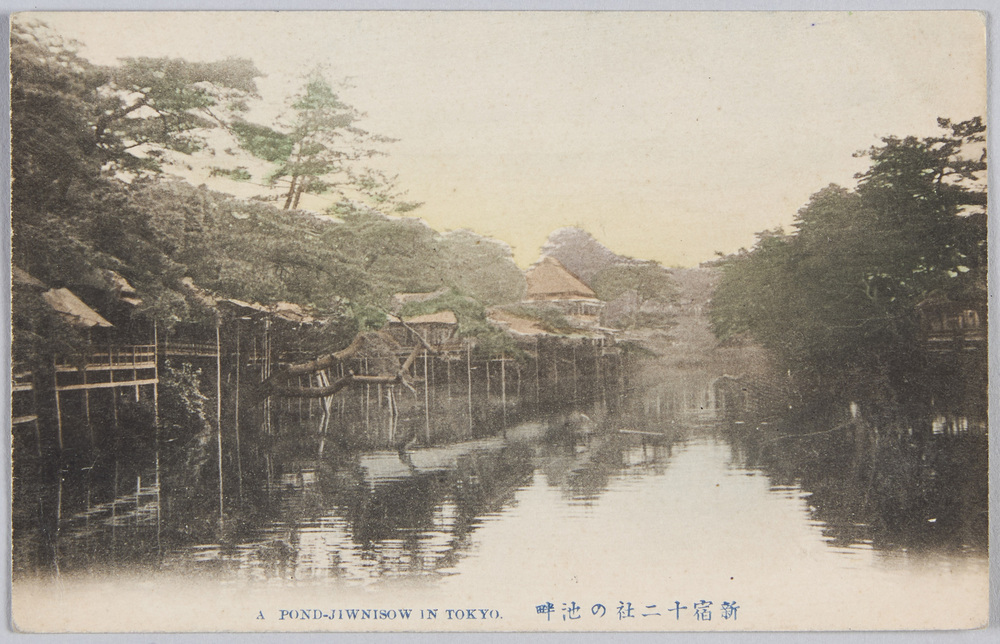 作品画像:新宿十二社の池畔
