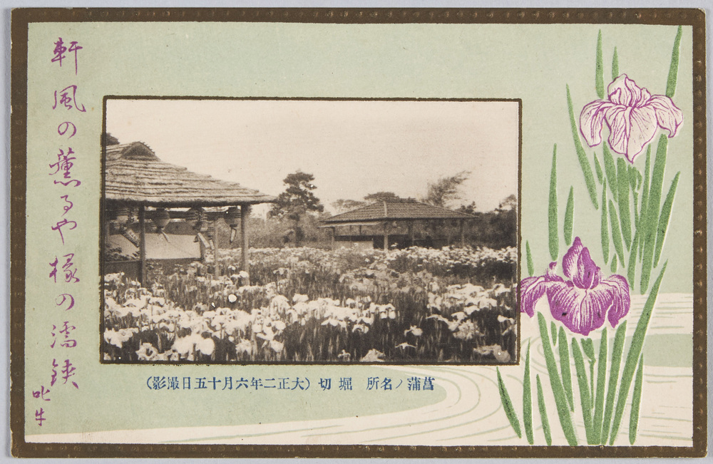 作品画像:菖蒲ノ名所 堀切 (大正二年六月十五日撮影)