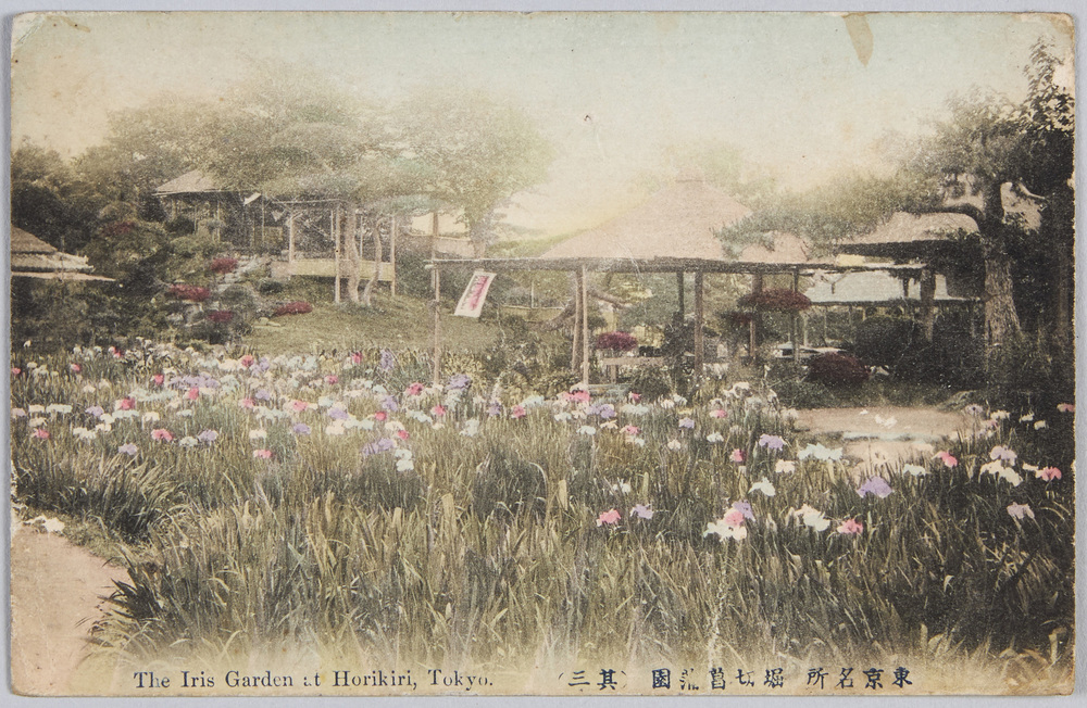 作品画像:東京名所堀切菖蒲園 (其三)