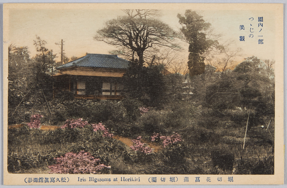 作品画像:堀切花菖蒲 (堀切園) 園内ノ一部つヽじの美観