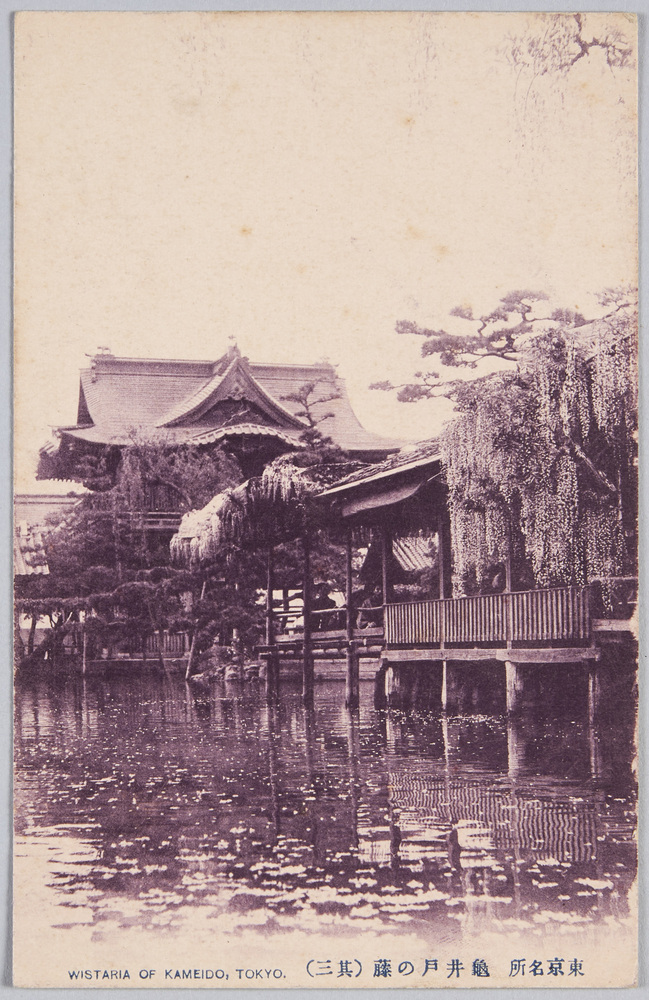 作品画像:東京名所 亀井戸の藤 (其三)