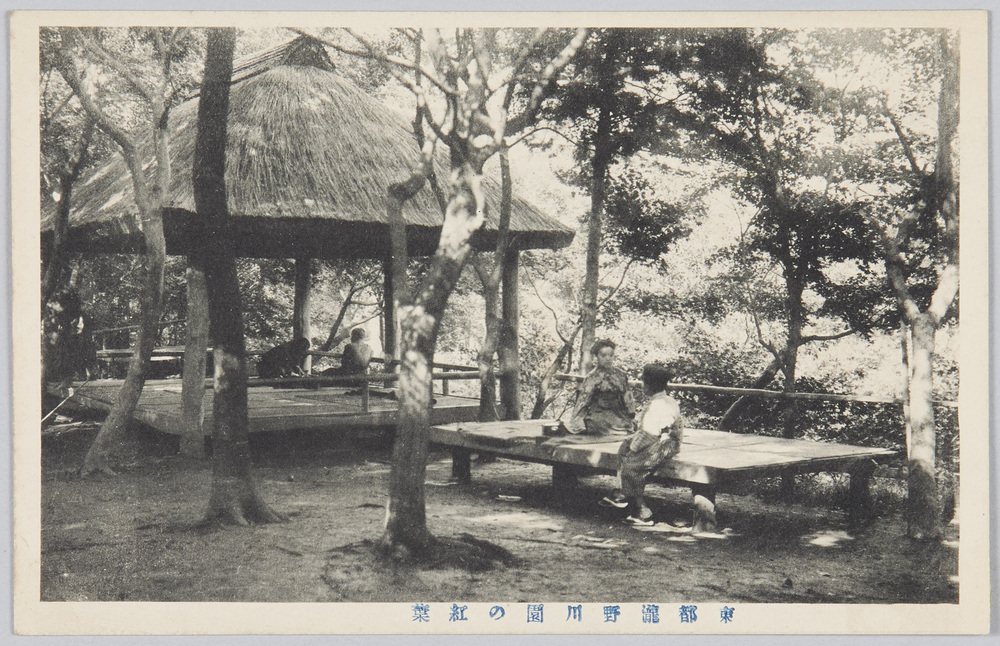 作品画像:東都瀧野川園の紅葉