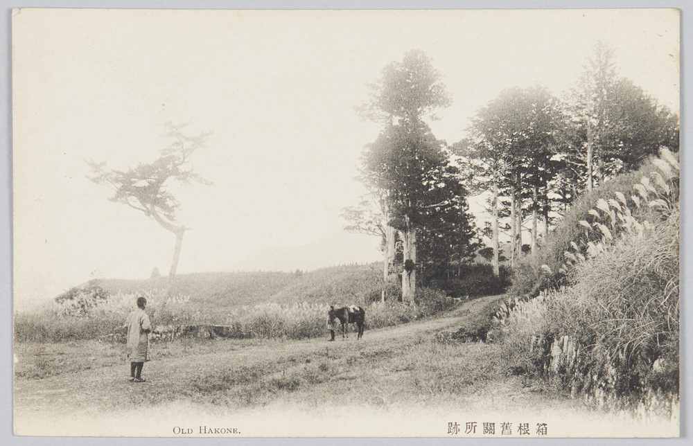 作品画像:箱根旧関所跡
